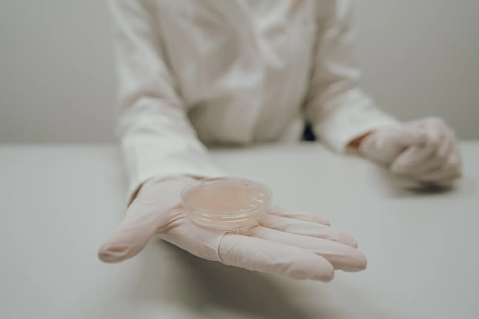 Mikrobiologische Abklatschproben